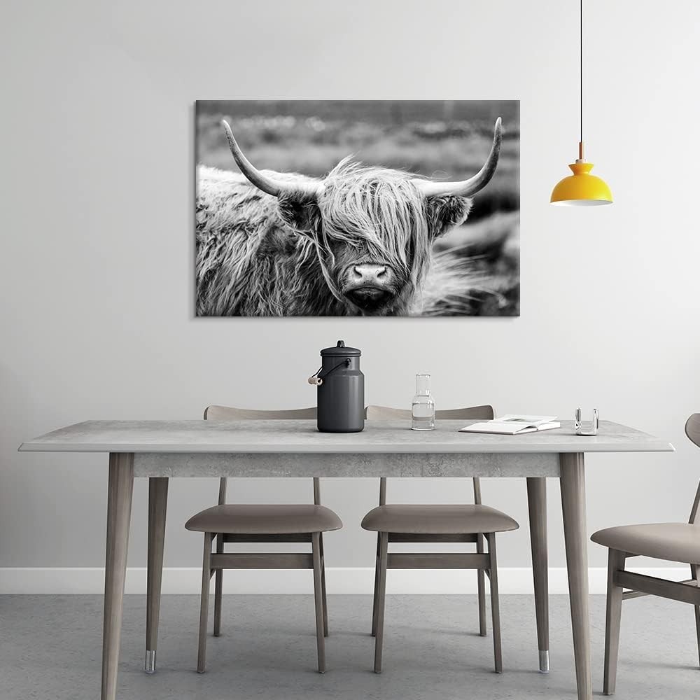 Highland Cow Photography Wildlife Portrait Picture Black and White Closeup An…