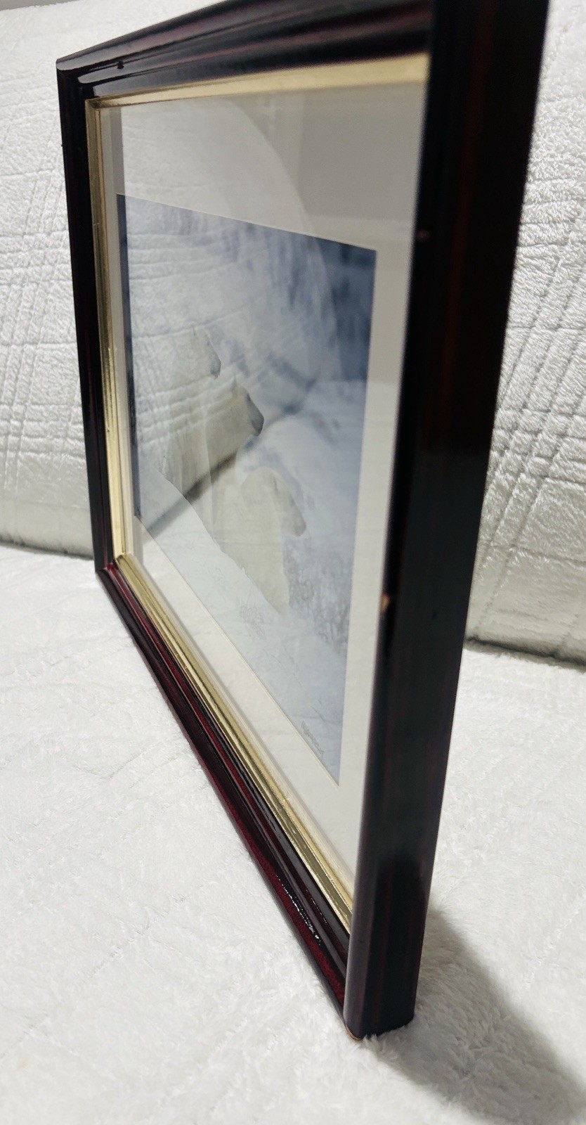 Mike Kelly Framed Limited Edition Photograph Polar Bears in Snow Signed 16/1200