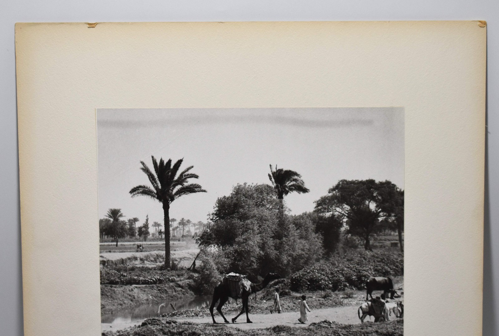 J.W. Howlett Black + white Photograph focusing on a Group of Travelers W/ Camel