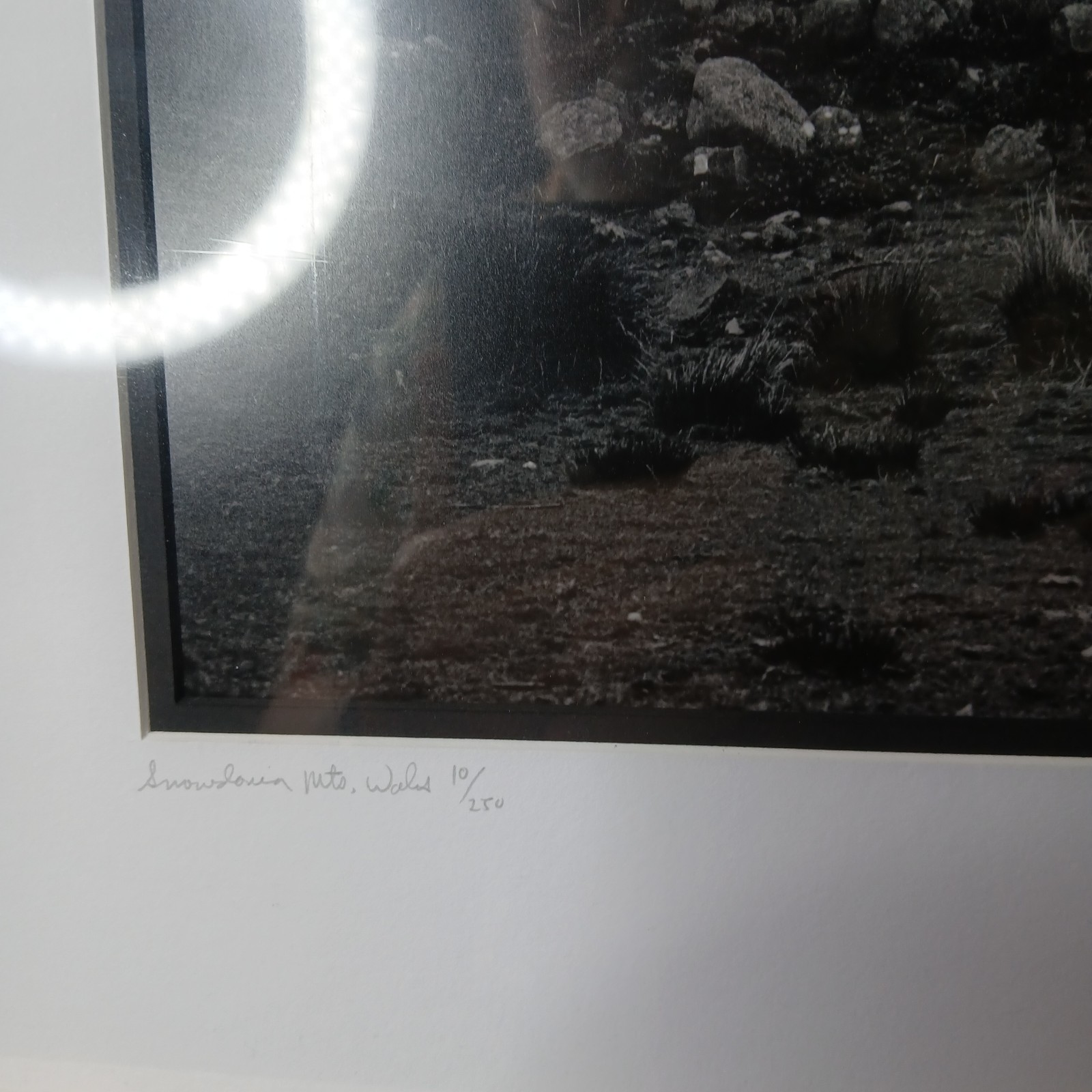 Daniel Powers SIGNED Raven Lambs 2004 Ltd Ed B&W Matted Photo Snowdonia Wales