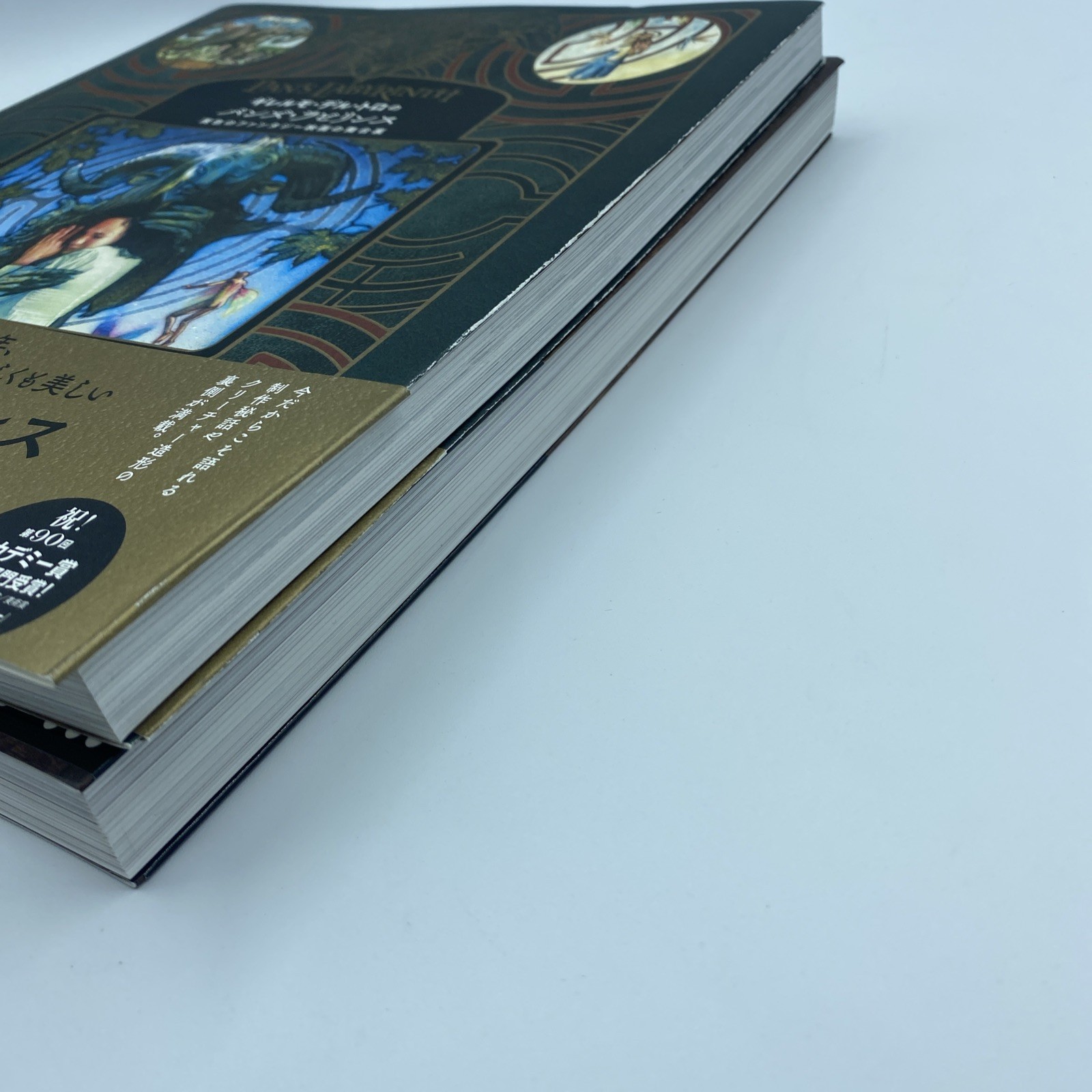 Guillermo del Toro 2 Book Set Cabinet of Curiosities + Pan’s Labyrinth Japan Art
