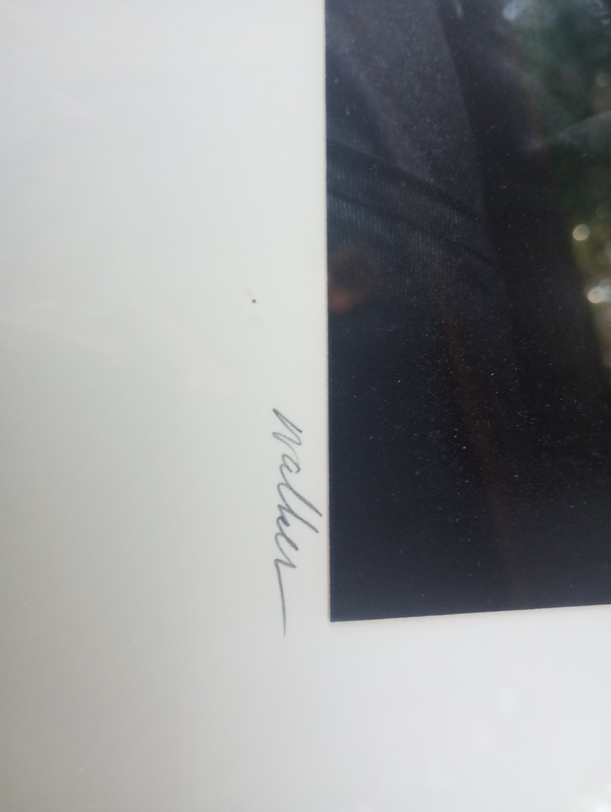 Signed Walker Evans “Greece 1973”