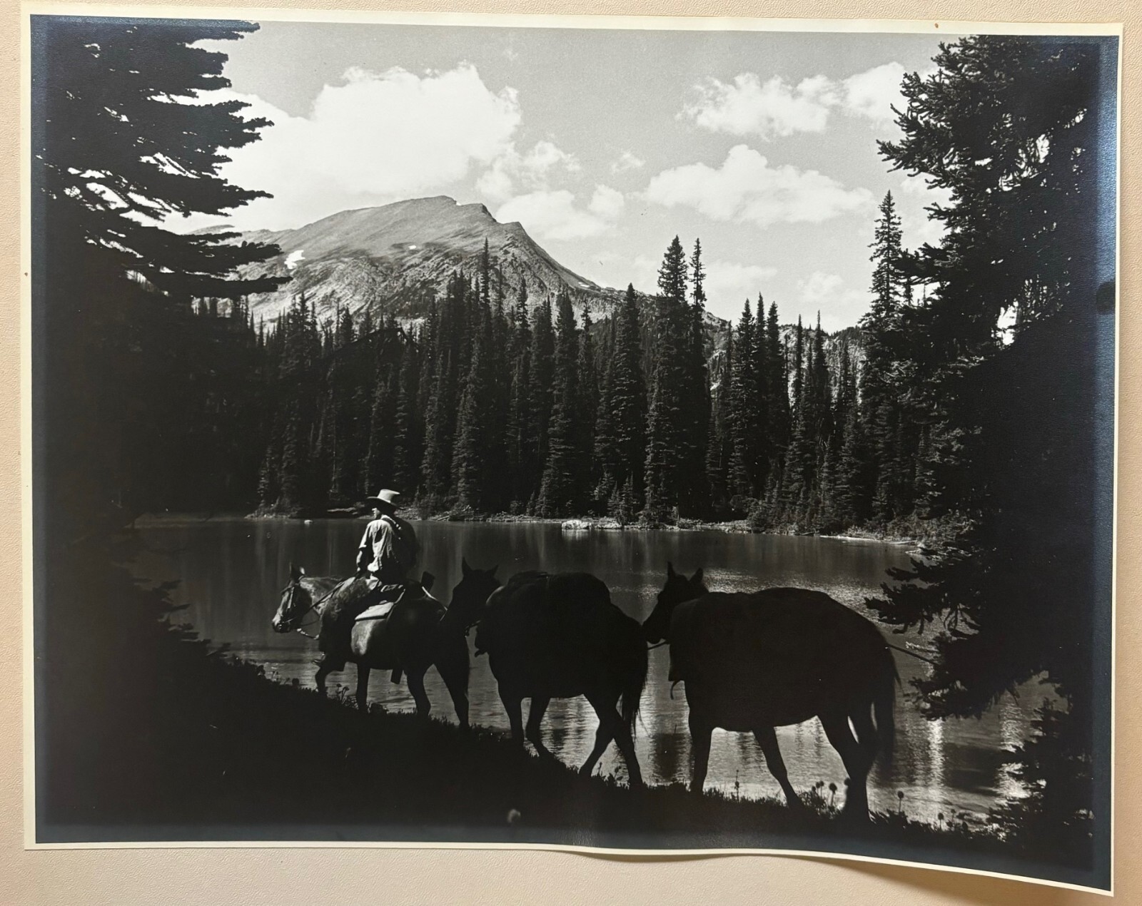 Original HARRY ROWED ‘Morning in the Valley’ Horseback in CANADA Mountains PHOTO