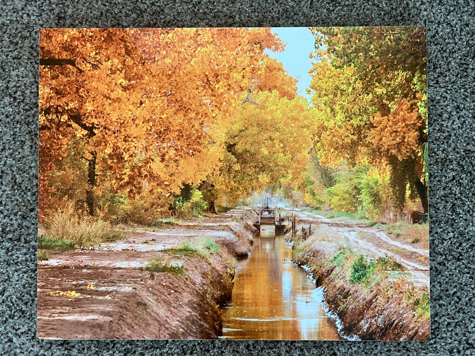 New Mexico Cottonwoods Acequia Photo Printed on Metal~ Ken Duckert Signed 20×16″
