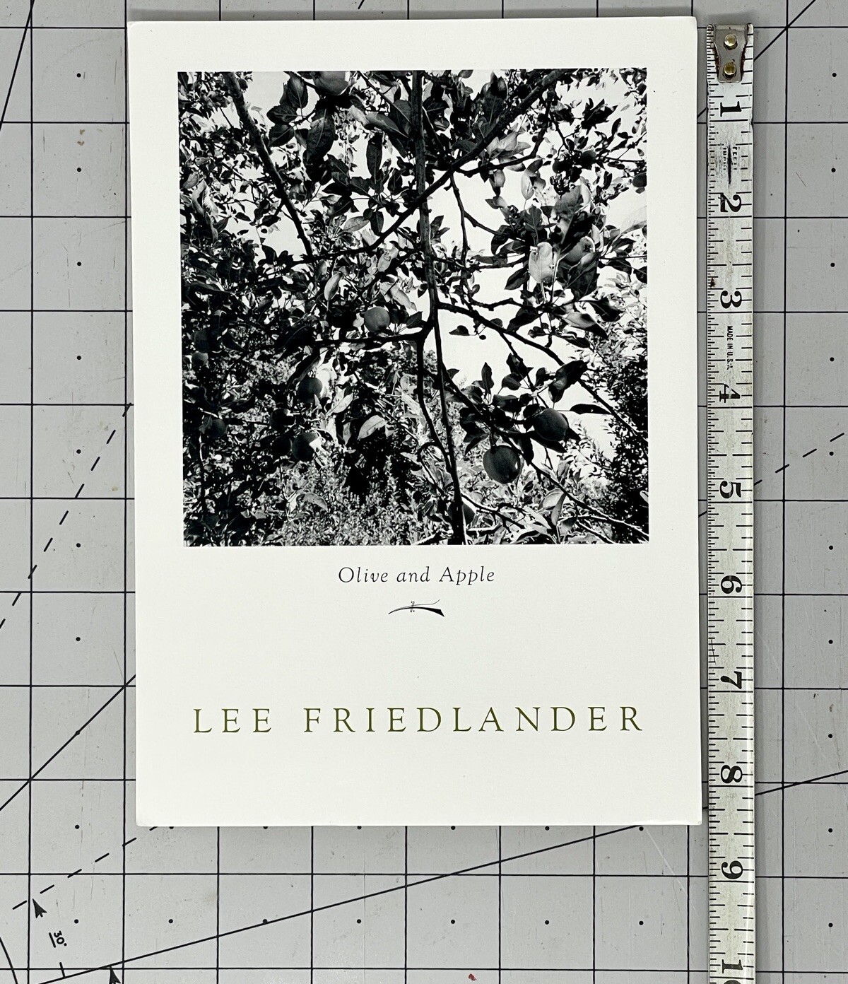 Lee Friedlander (b. 1934) Art Announcement Card 2004 – Olive & Apple