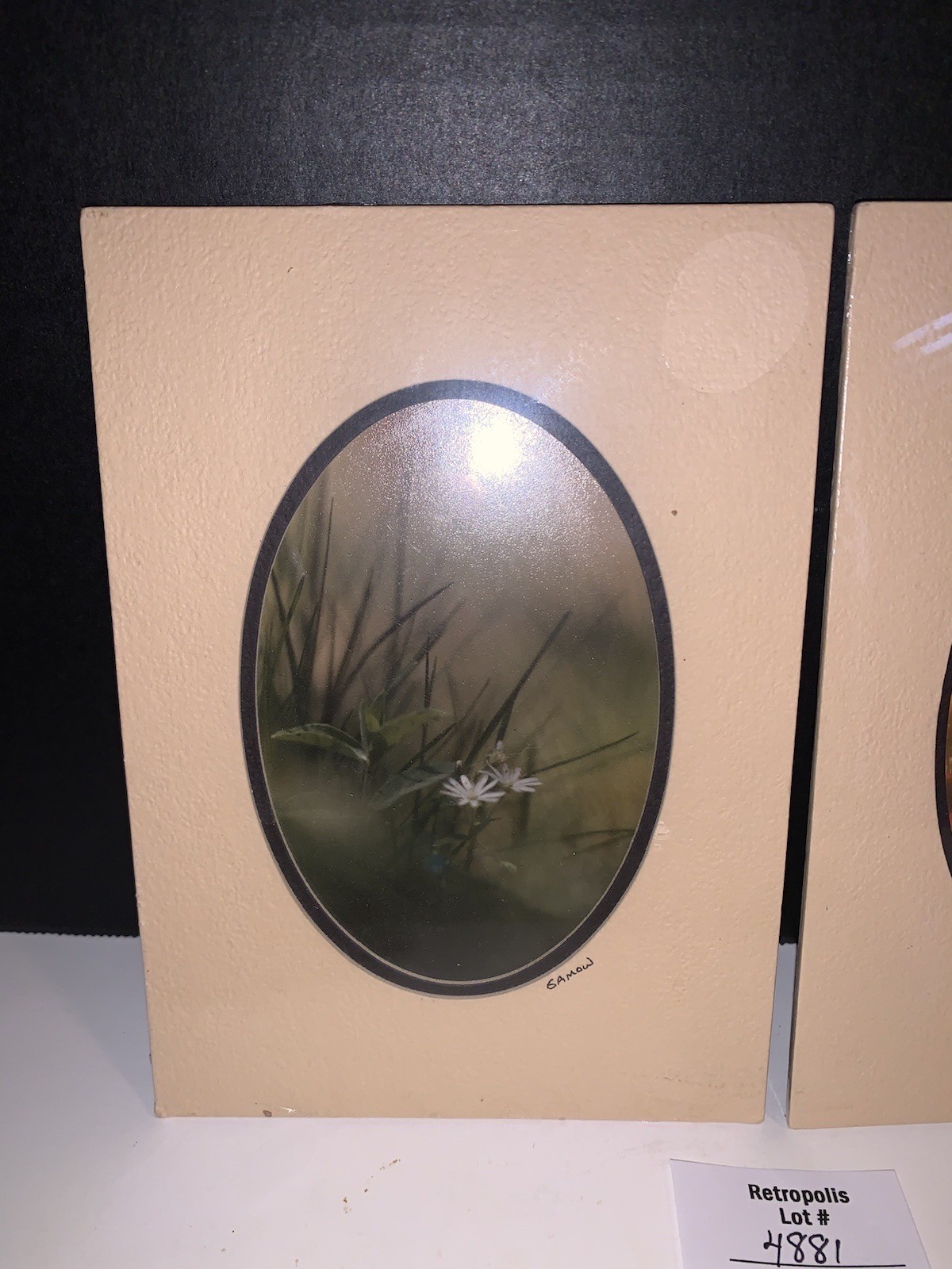 Pair Gamow Signed Floral Photography Art 5″ x 7″ Matted