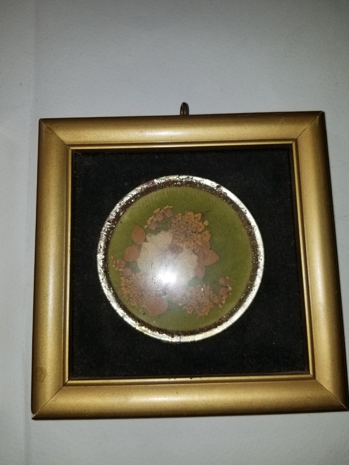 2 Real Virginia Flowers Hopkins Designs Moon Va Flowers 4.5×4.5 in