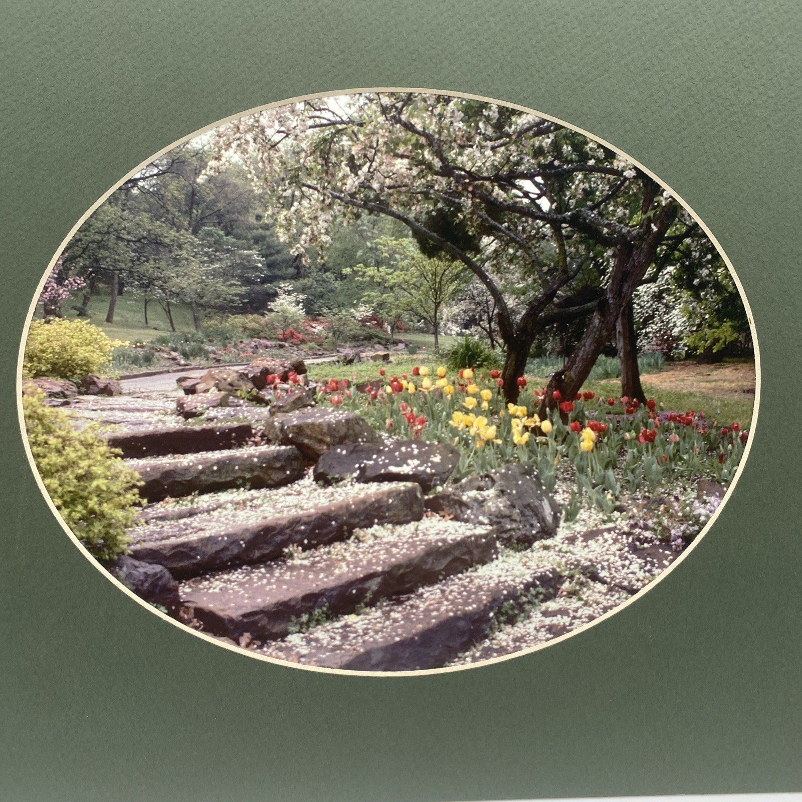 Matted Flower Garden Landscape Photo Print 11 X 14 Wall Art Gallery Decor