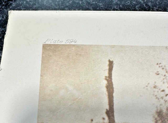 Photography WASHING WHEAT Plate 594 Collectable