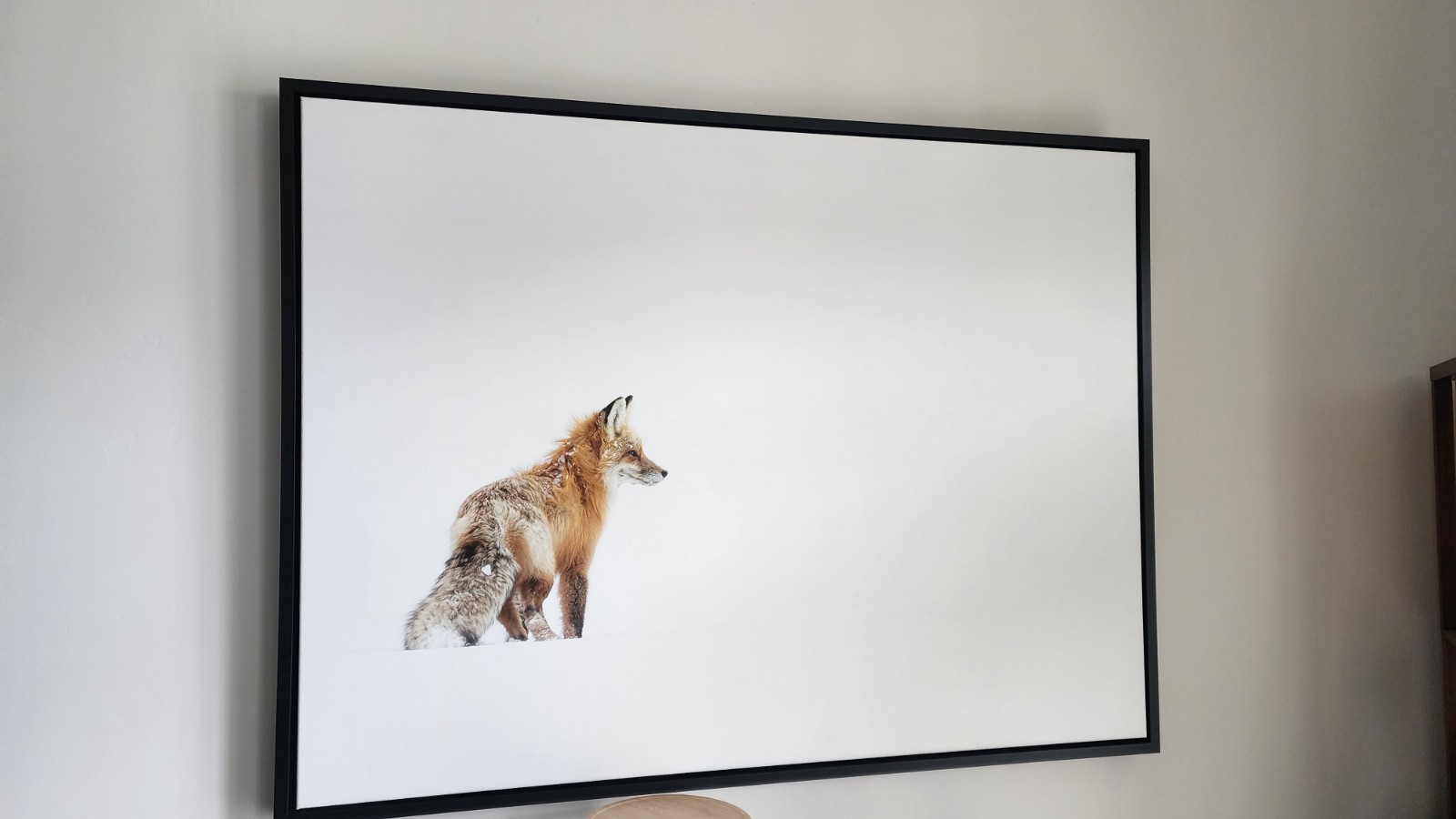 Red Fox in Yellowstone 40×30 inch Framed Canvas Wildlife Photography Print