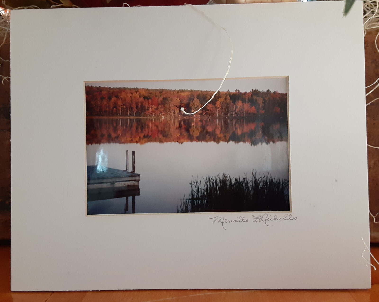 Lakeside Nature Landscapes Set of 2 – 4 x 6 Original Photos -Signed by Artist