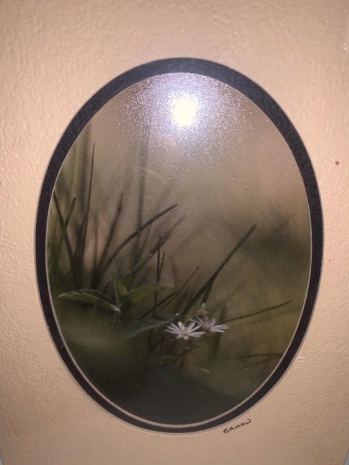 Pair Gamow Signed Floral Photography Art 5″ x 7″ Matted