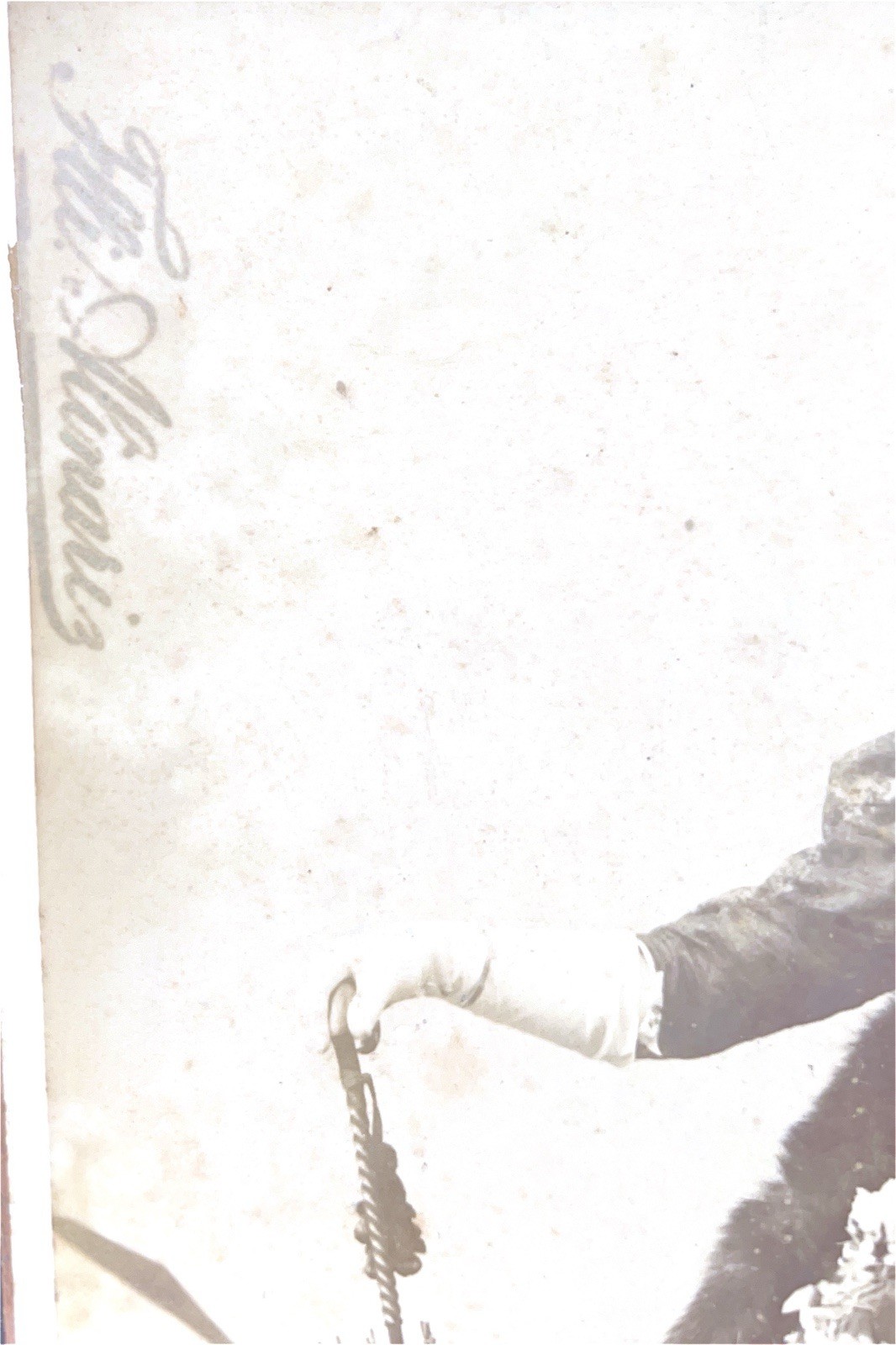 ORIGINAL VINTAGE SIGNED FRATELLI ALINARI PHOTOGRAPH