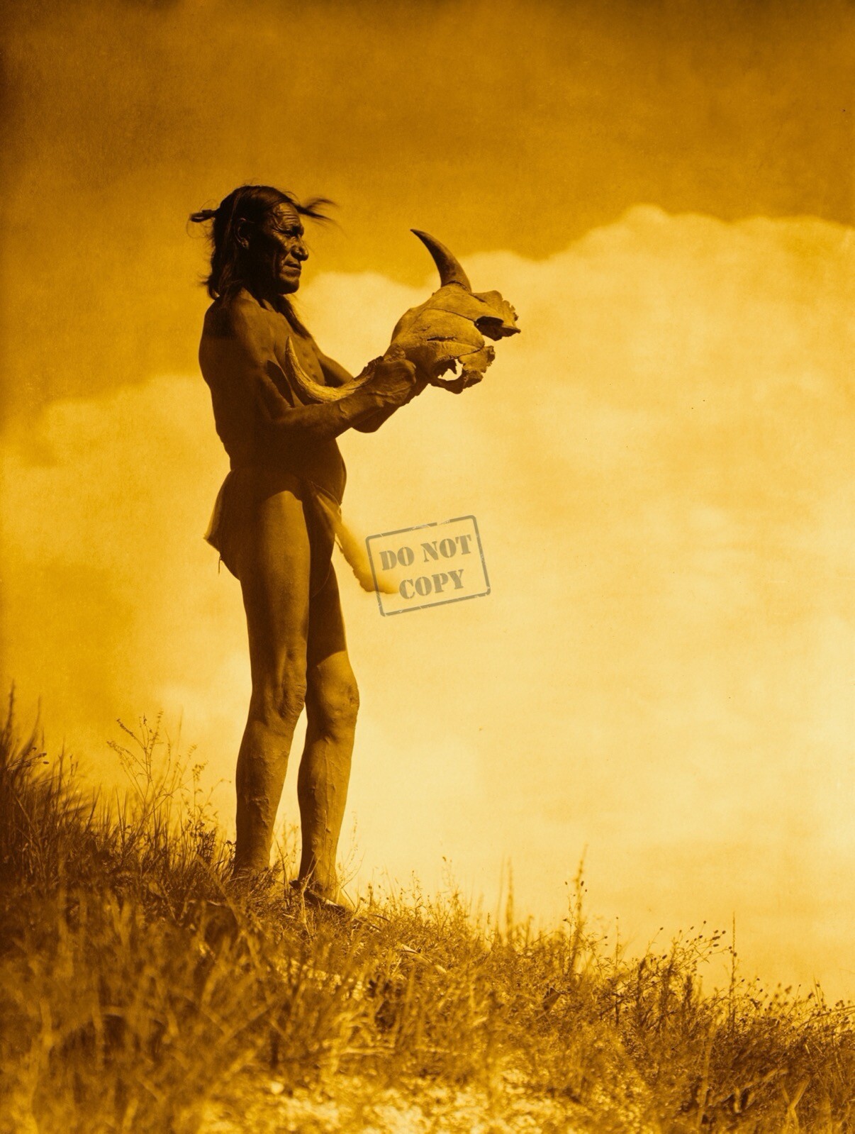 Edward Curtis Picket Pin Giclee Fine Art Print Open Edition Reproduction