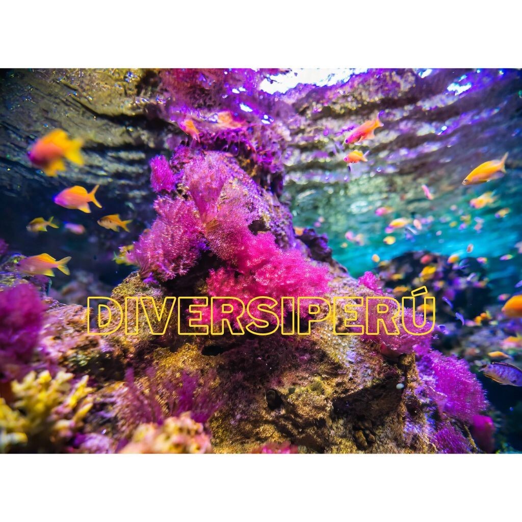 Digital Image Picture Photo Wallpaper Background Desktop Art