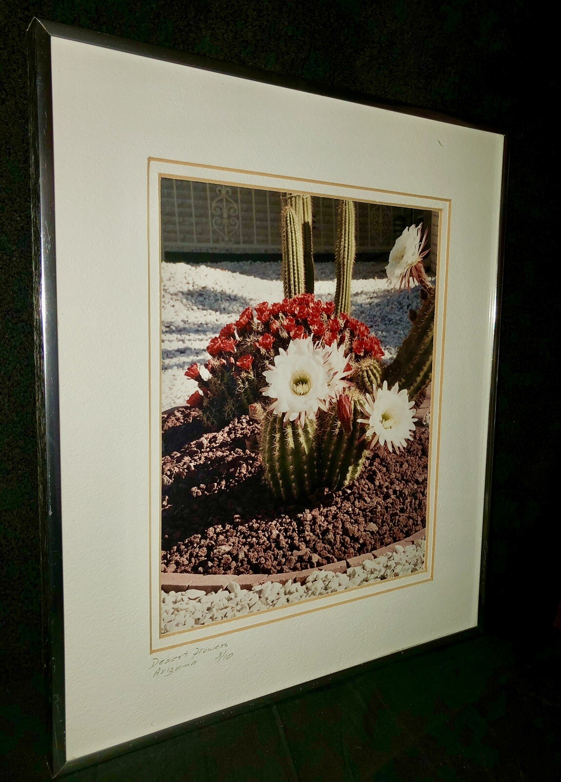 Rare Signed Print Numbered Desert Cactus Arborist Flower Garden Home Decor 12×14
