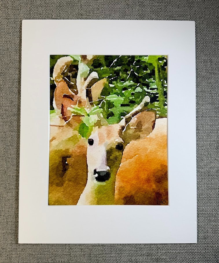 Dear Deer Digital Watercolor Original Art Photograph 8 X 10 Mat 11 X 14 – Signed
