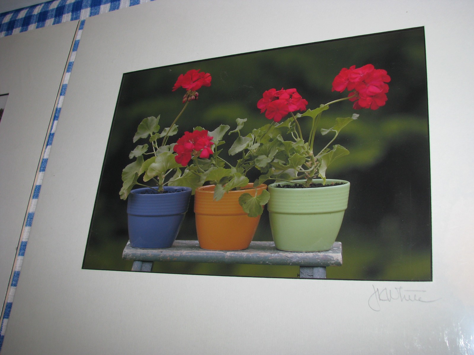 J. K. White Hope Maine Five Matted Signed Photographs Summer Scenes