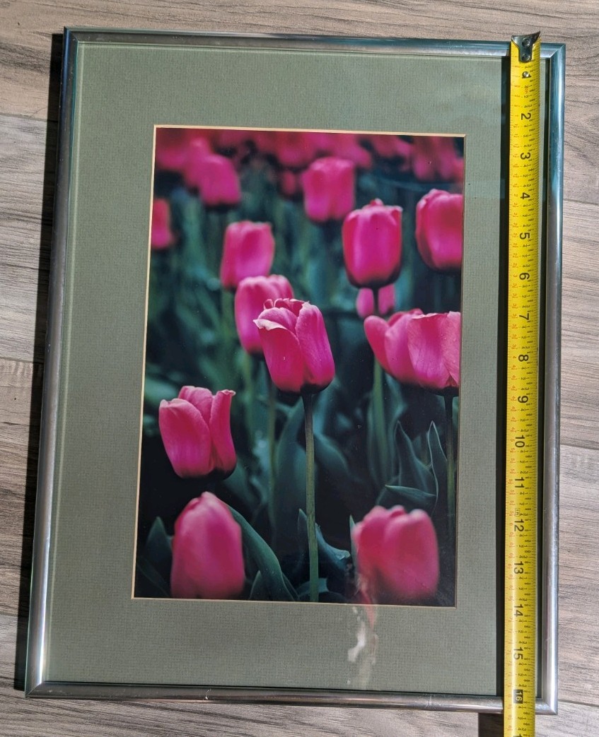 Framed Pink Tulips Floral Photograph -Green Matting Silver Frame 16.5″x12.5″