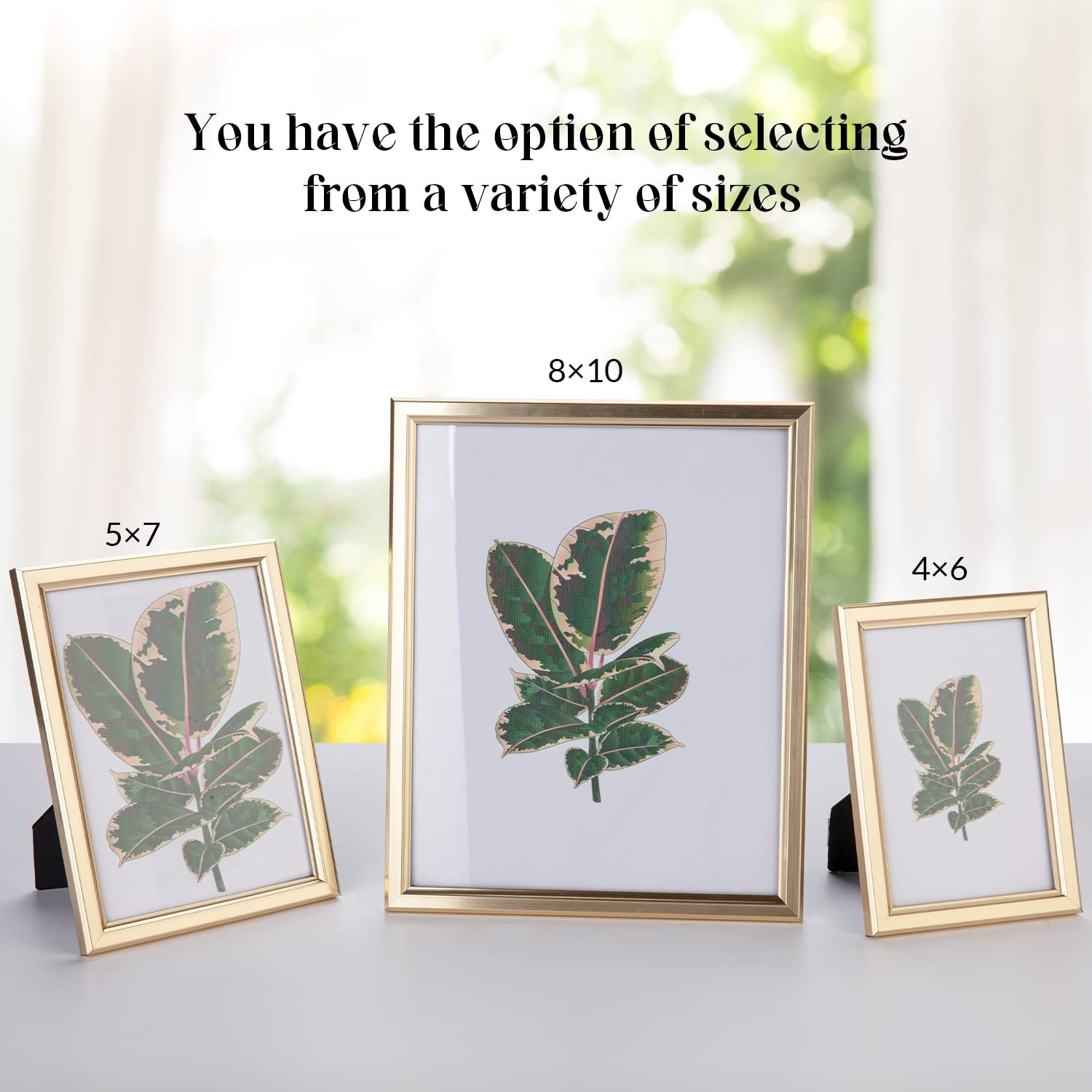8×10 Picture Frame – Set of 5, Matte Gold 8 x 10 Photo Frame with High-Defini…