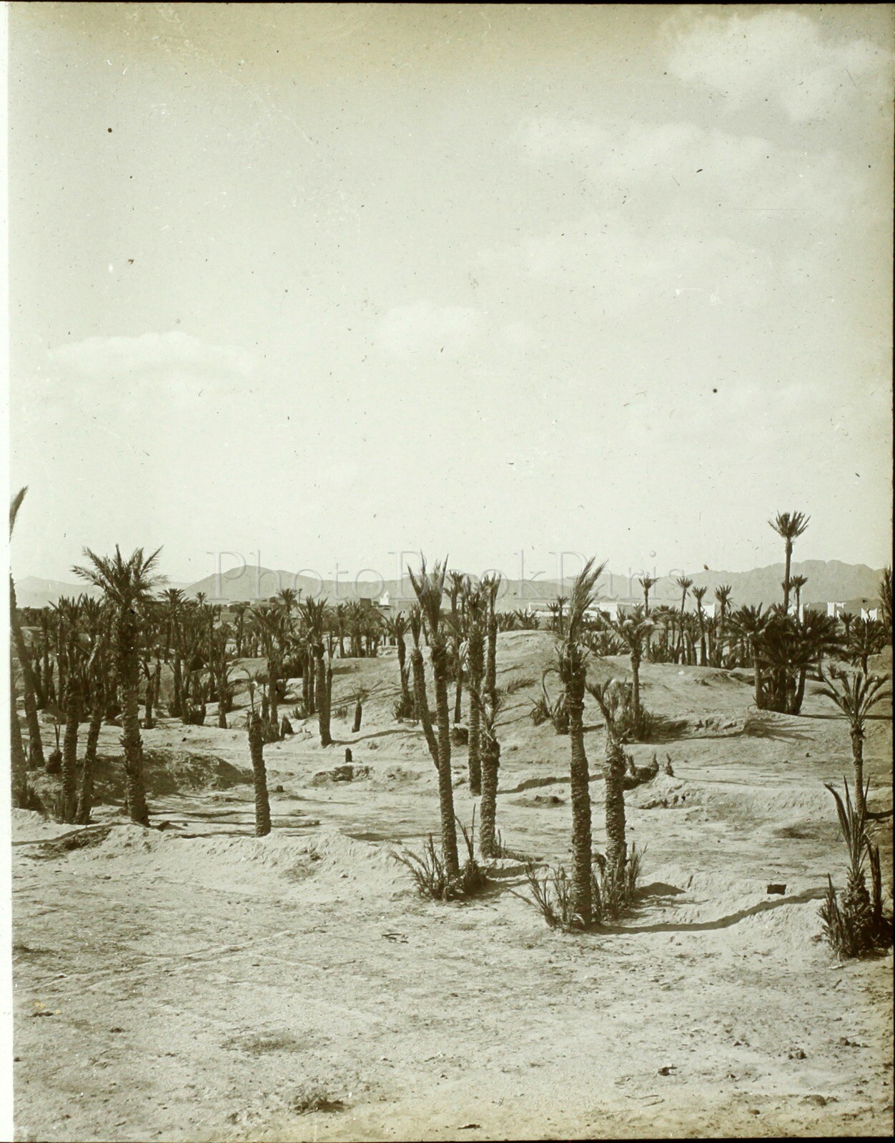 MAROC Figuig El Oudaghir, Vintage Stereo Photo Glass Plate VR4L2
