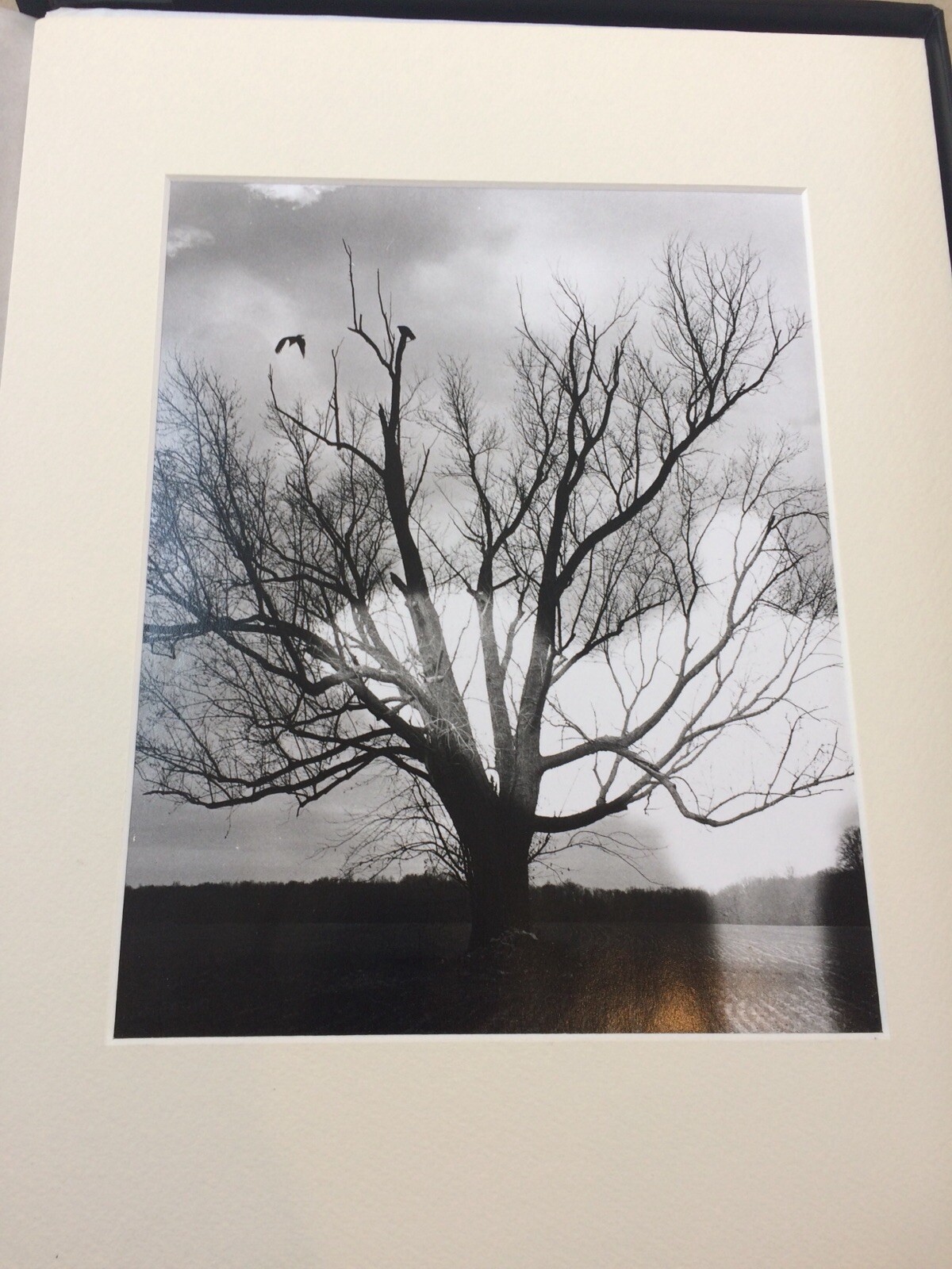 Robert Bery Angels in the Forest – Portfolio of 7 original photographic prints