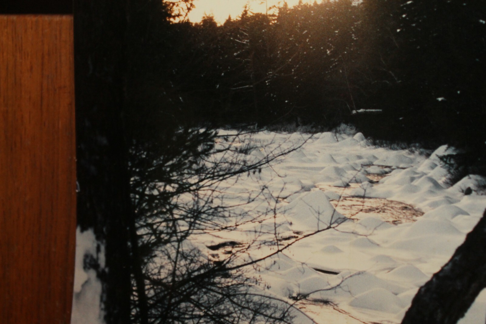 Vintage 8×12 Photo W. Beebe East Tennessee Mountain Frozen Stream Snow Winter