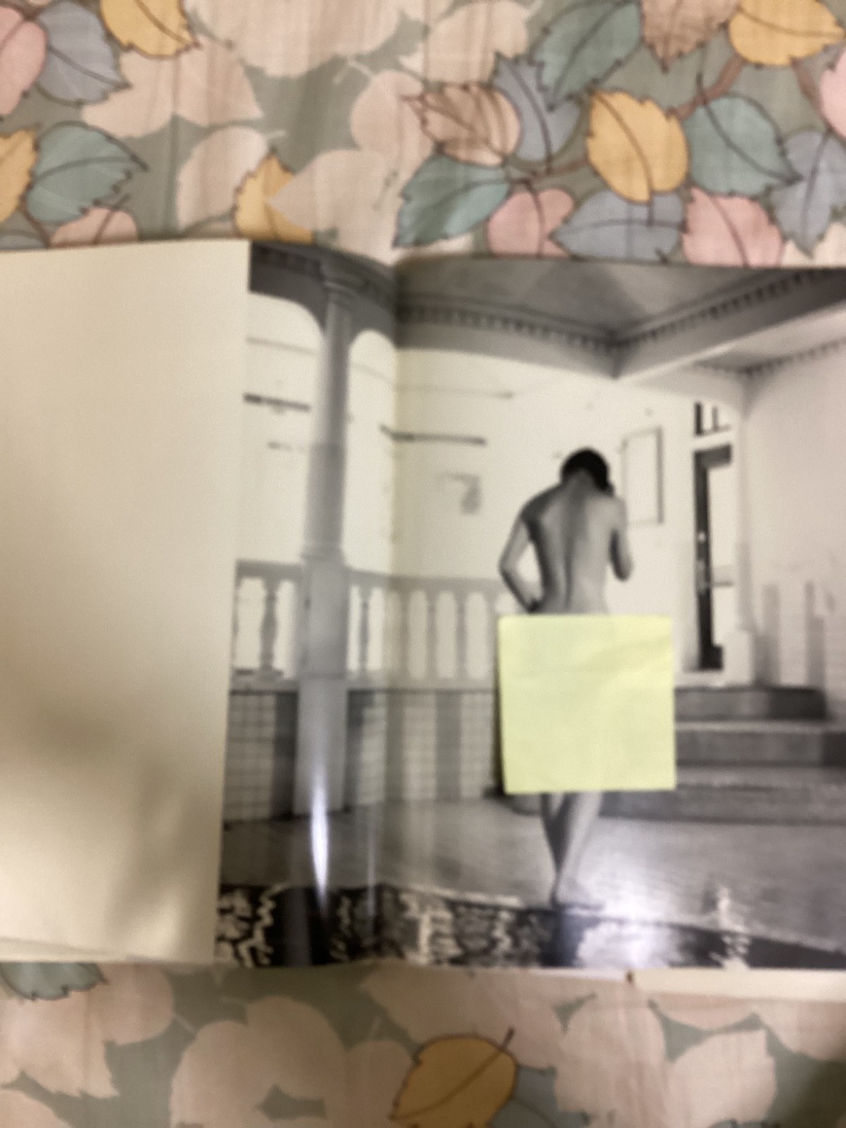 Japanese actress Kanako Higuchi’s photobook – water fruit