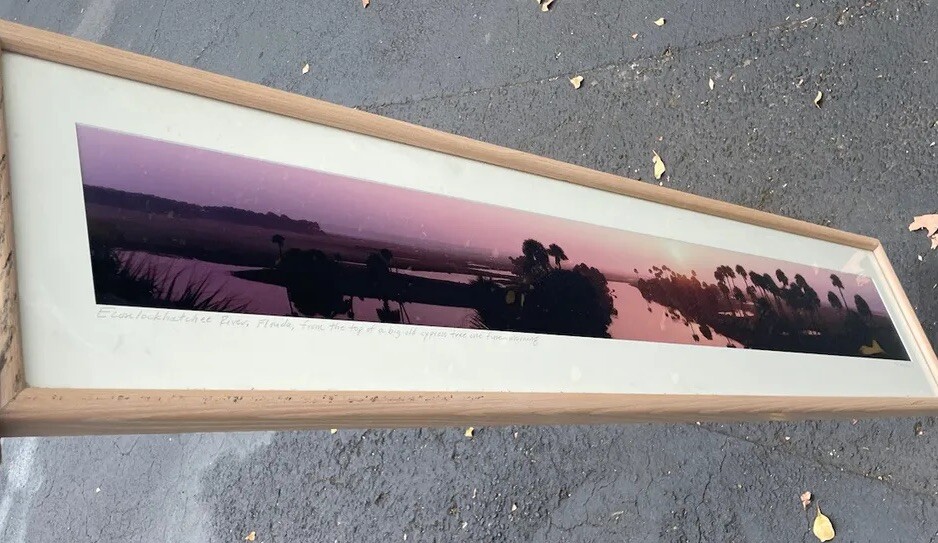 Panoramic Framed ECON Top Econlockhatchee River Florida Steve Vaughn 52:11’