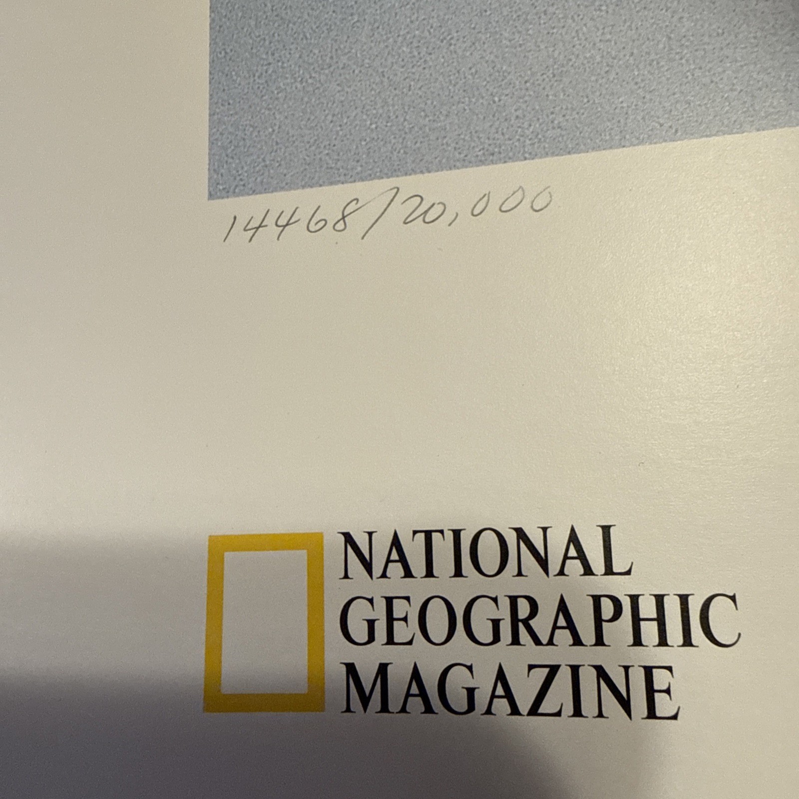 Lot Of 2 National Geographic Polar Bear At Ease 36″X24″ Numbered Lithographs