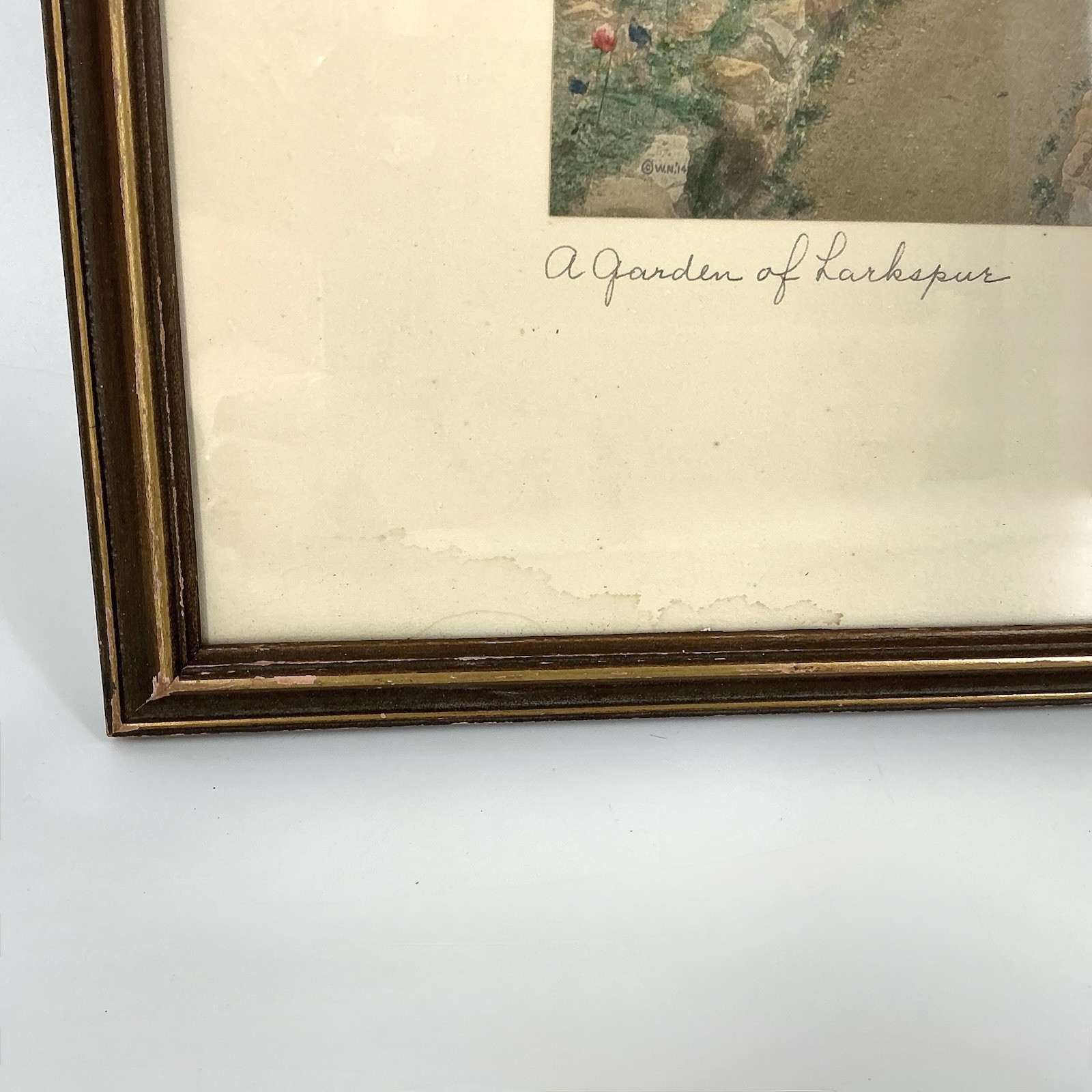 Wallace Nutting A Garden Of Larkspur Hand Tinted Colored Photo Signed Framed