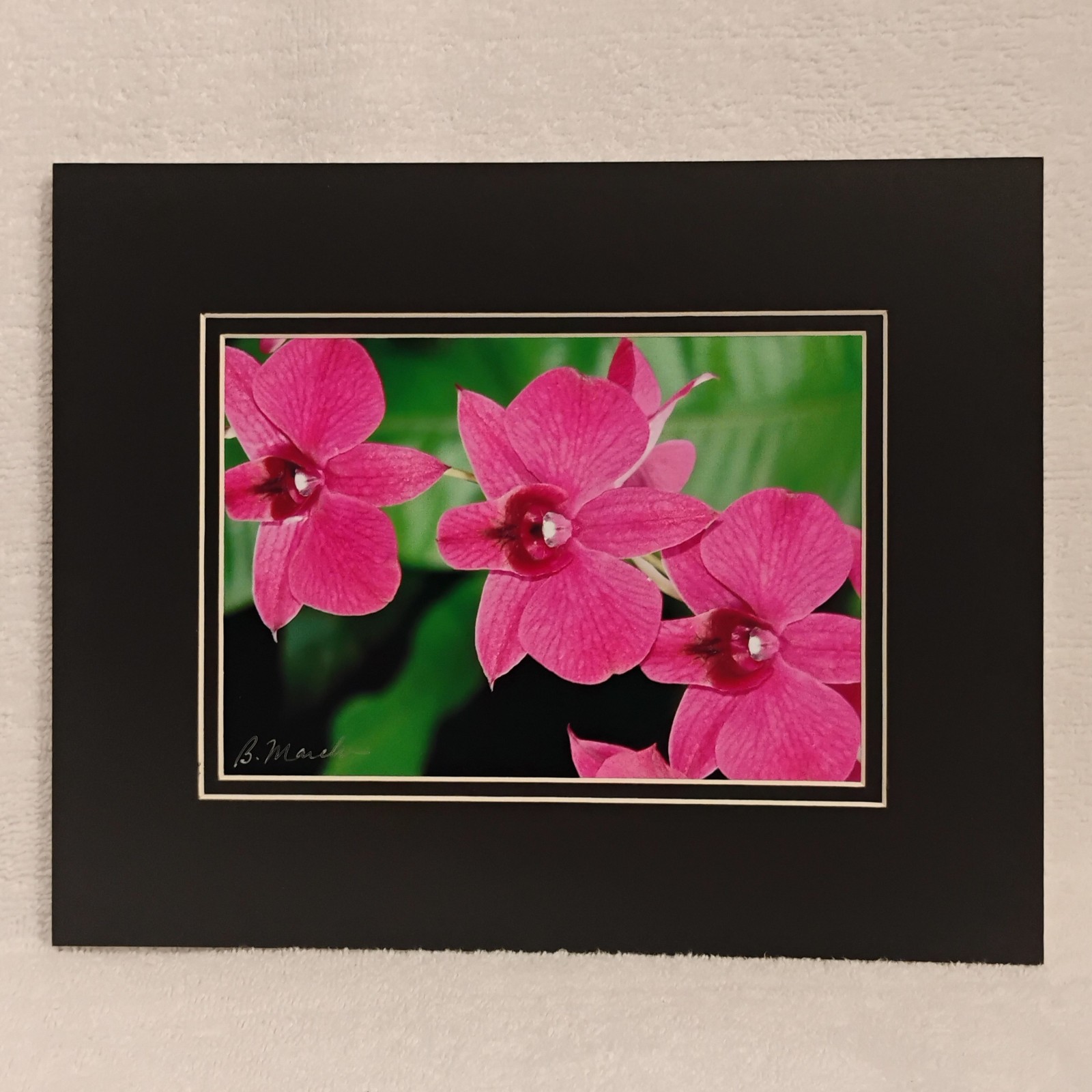 Hot Pink Orchids Matted Photo Print Wall Art Nature Photography Garden Flowers