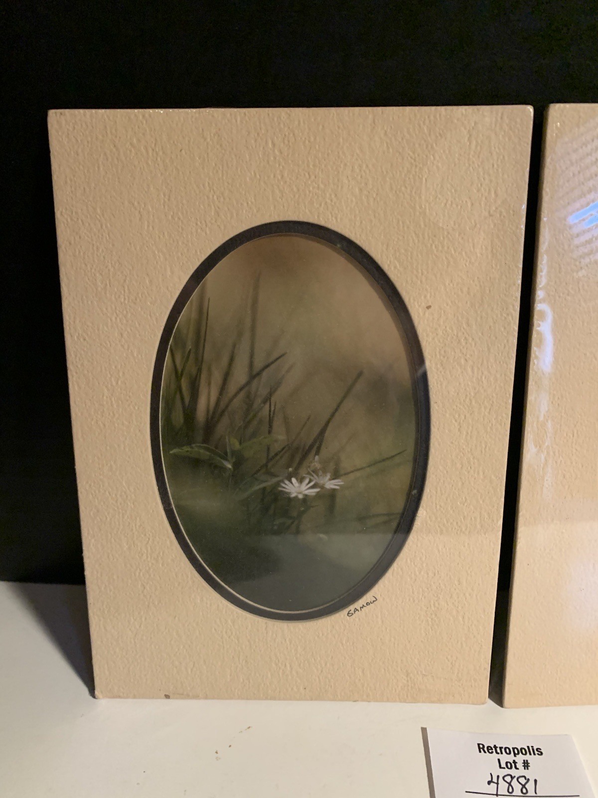 Pair Gamow Signed Floral Photography Art 5″ x 7″ Matted