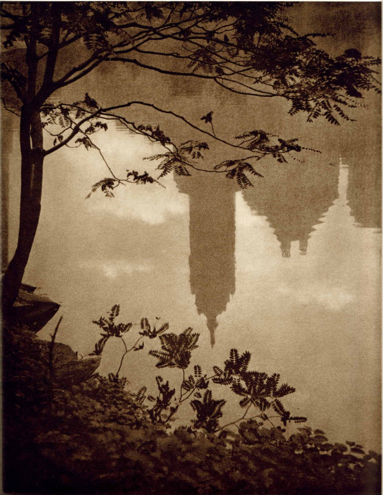 Pictorial Artistry (Adolf Fassbender) Signed & Numbered First Edition 40 photos