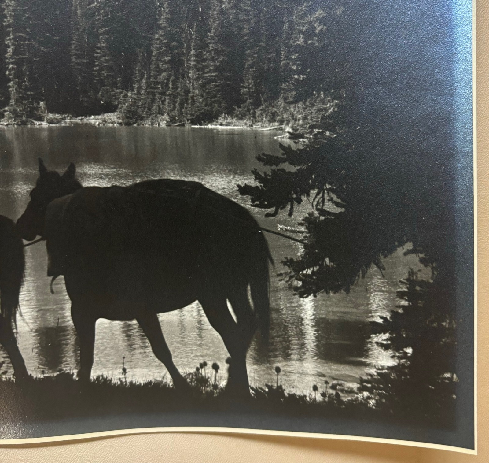 Original HARRY ROWED ‘Morning in the Valley’ Horseback in CANADA Mountains PHOTO