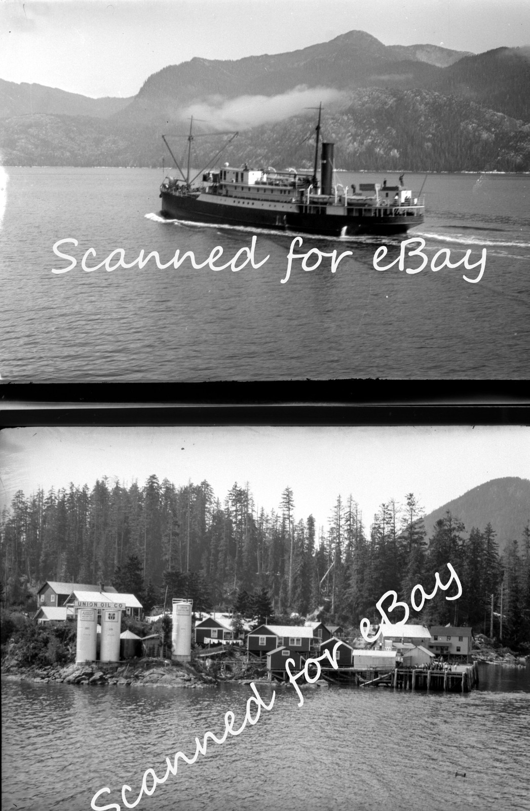 BRITISH COLUMBIA LOGGING CEMENT 1928 100 ORIG NEGATIVES IN ALBUM CANADA PEOPLE