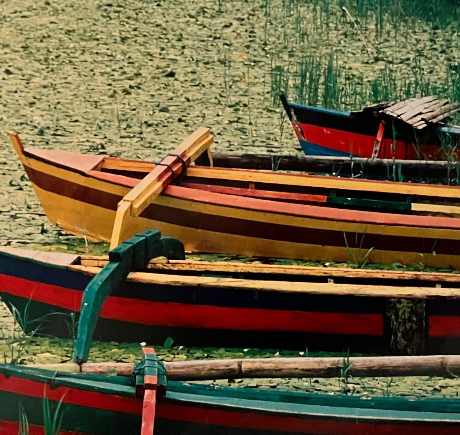 Original Signed Photograph Boats in Bali with Lily Pads by Robert Barab
