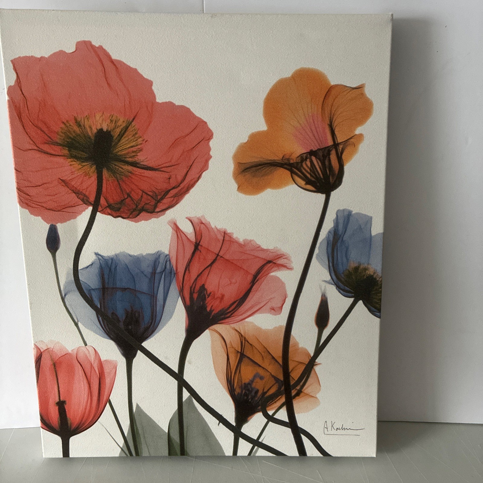 Albert Koetsier 19 1/2 x 15 1/2 Radiographic On Unframed Canvas Flowers Images