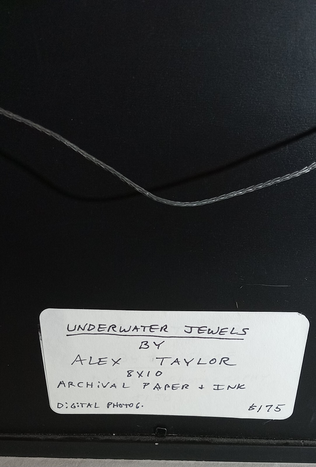 Underwater Jewels By Alex Taylor 8×10 Framed Archival Paper & Ink Digital Photo
