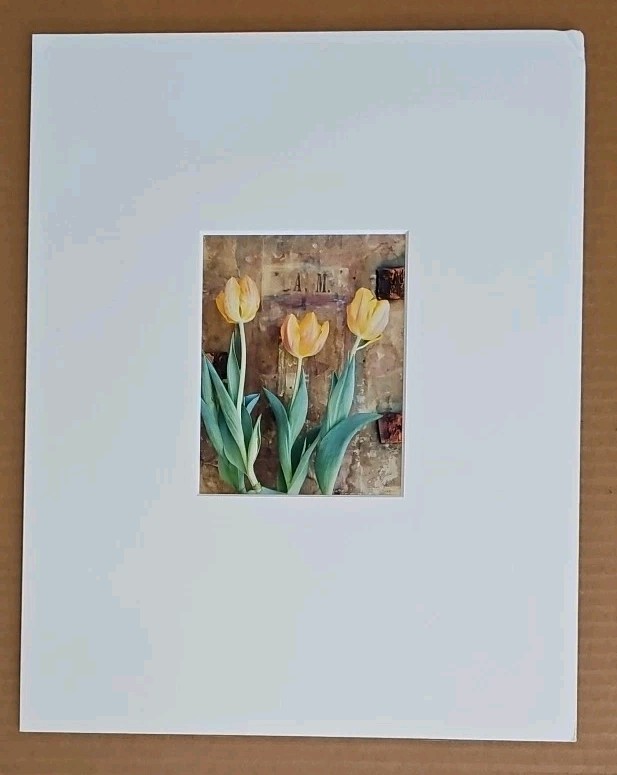 Lenny Lyons Bruno Art Photograph Yellow Tulips Still Life Matted 11×14