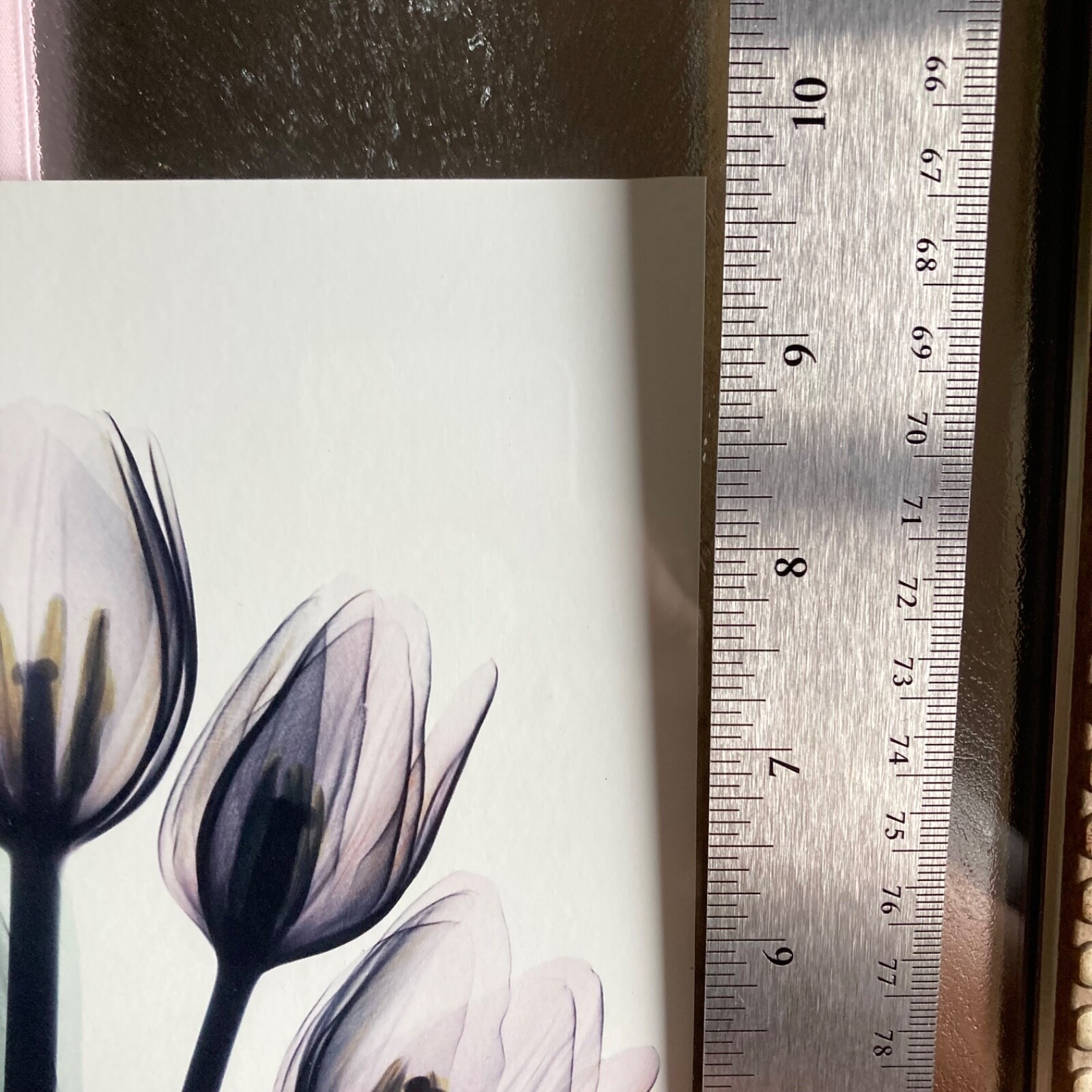 Tulips By Albert Koetsier Artist Signed Radiographic Xray Radio Photography Art