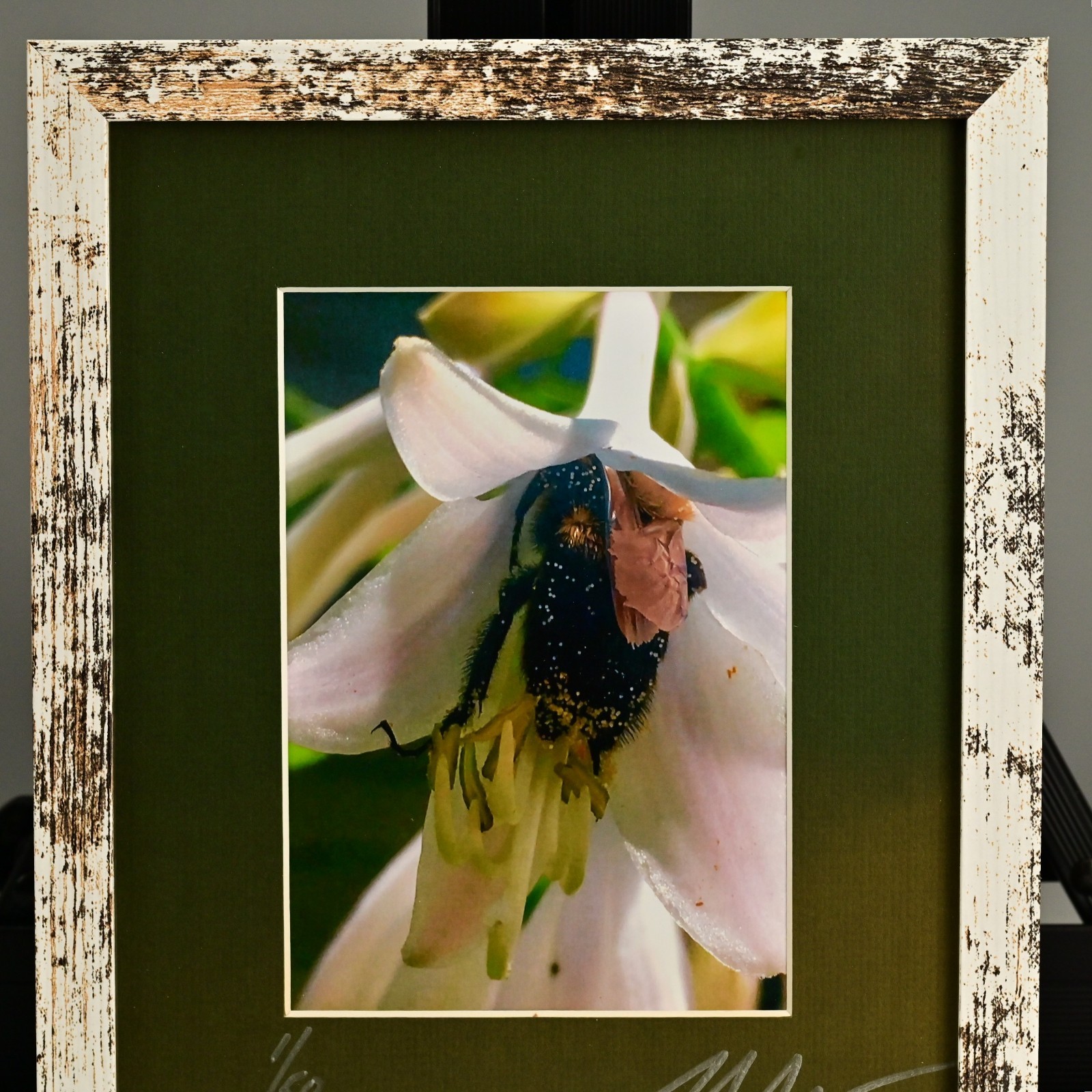 MICHAEL RAY Original Vintage Signed Long Island NY Floral Still Life Photograph