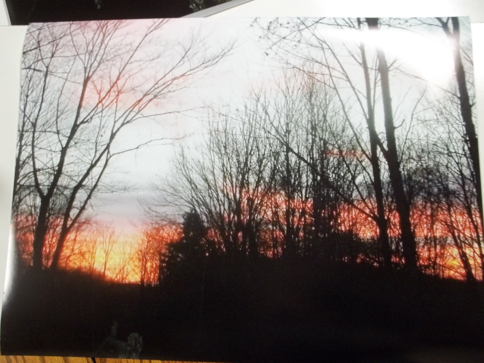 Autumn Sunset Photographic Poster Art 18 x 24