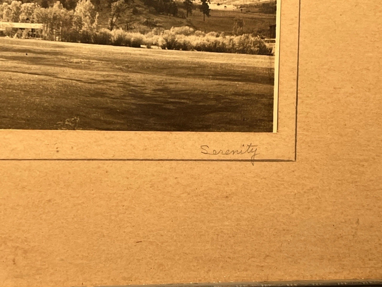 RARE ORIGINAL Early 1900s Silver Photo