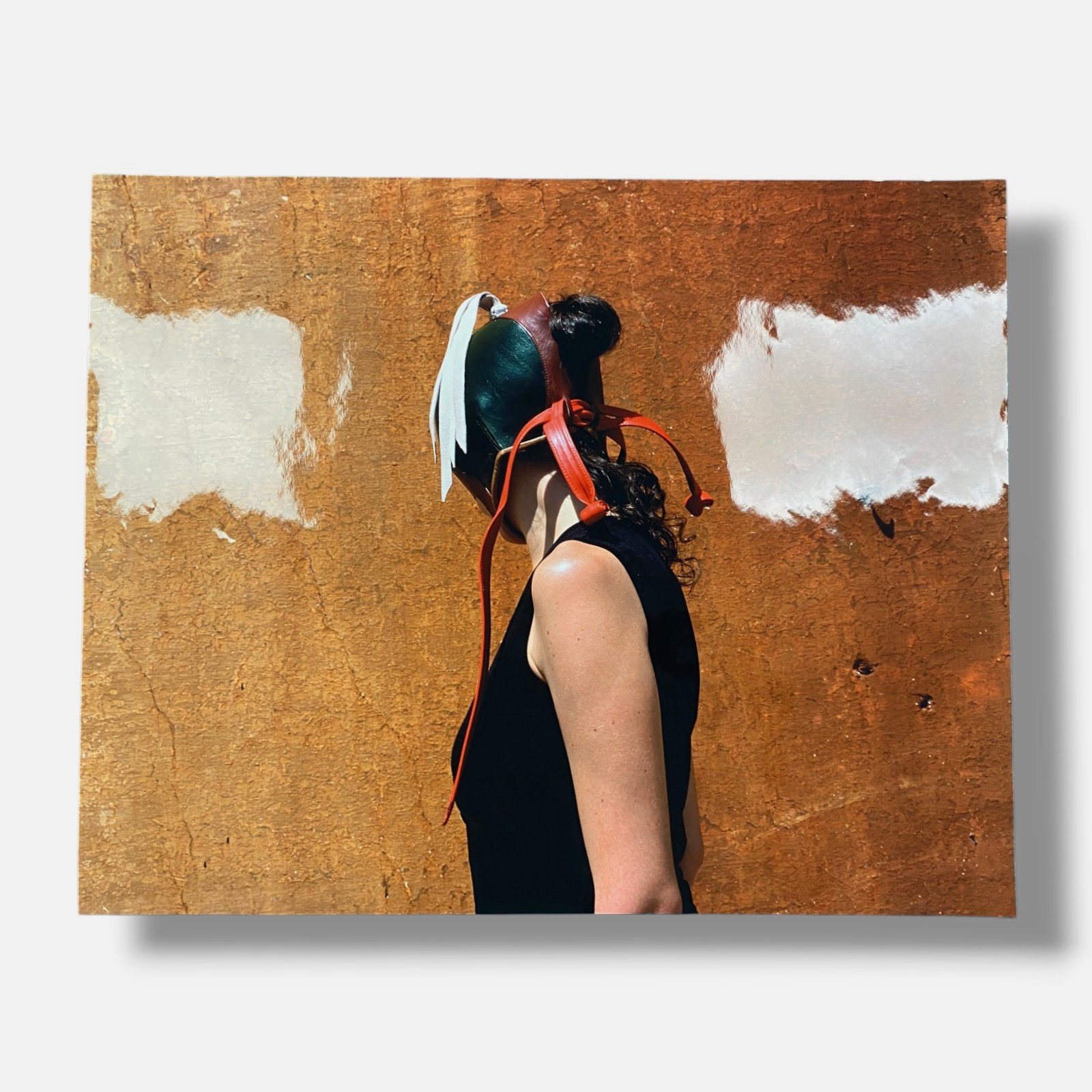 Linarejos Moreno “Aves de Presa II” Large Fine Photography Wall Art | 28 x 35″