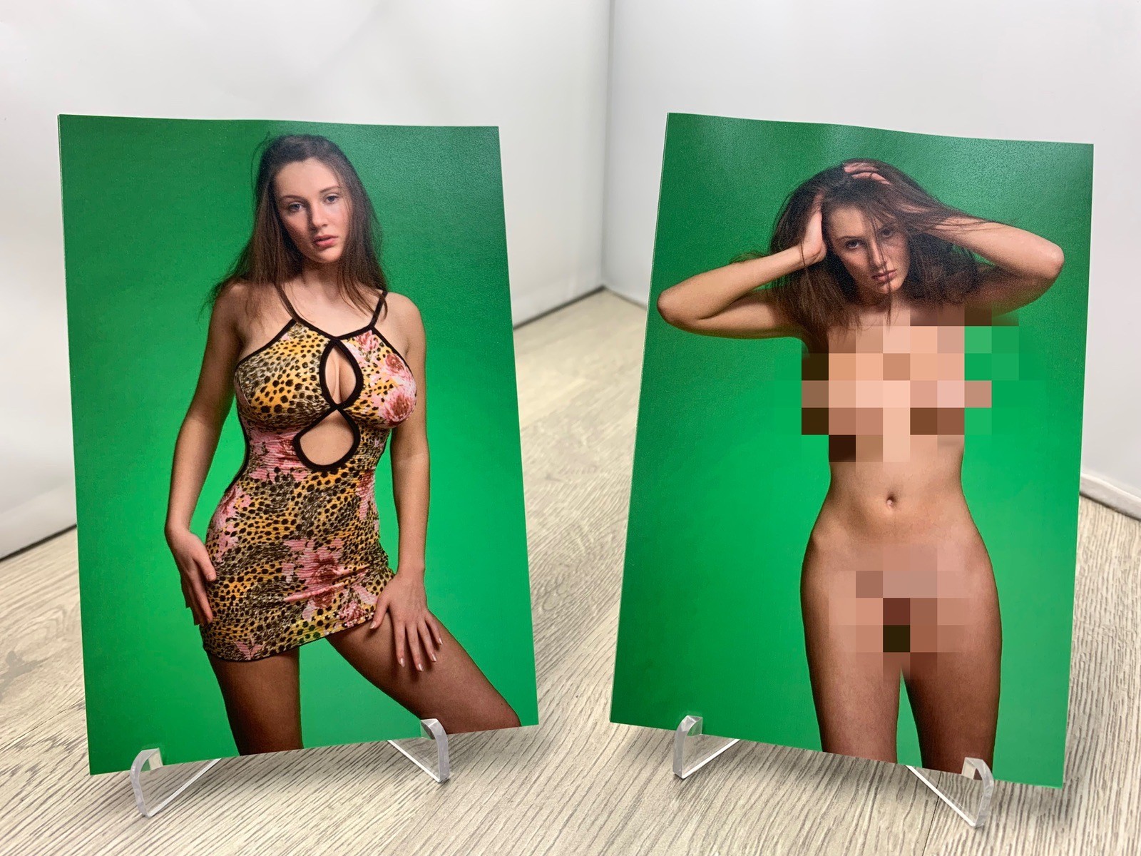 Twenty Eight 28 Artistic Nude 4×6 Photographs Fine Art Color Prints Female Study