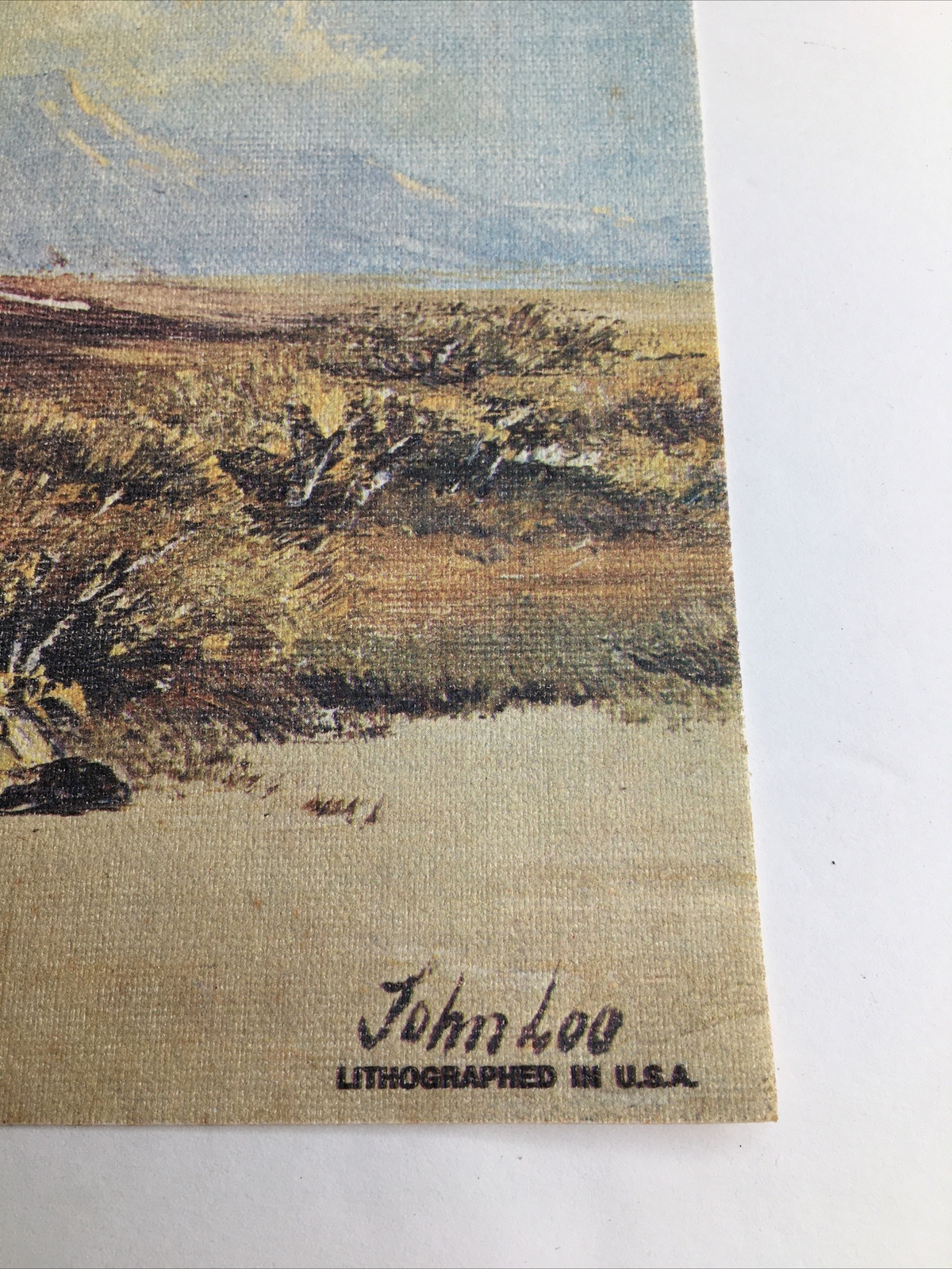Vintage MCM Art Treasures Inc John Loo Nature Lithograph on Canvas Unframed G3