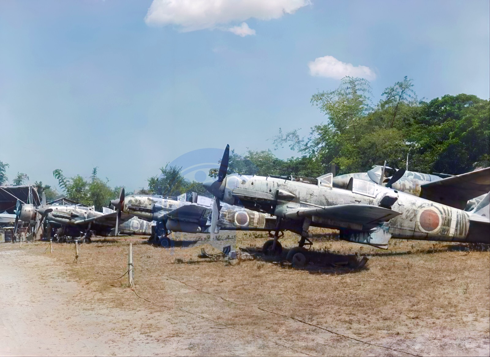 WW2 Colorized Nakajima Ki-43 II Otsu Hayabusa (Oscar) 248 Sentai in PNG 1944
