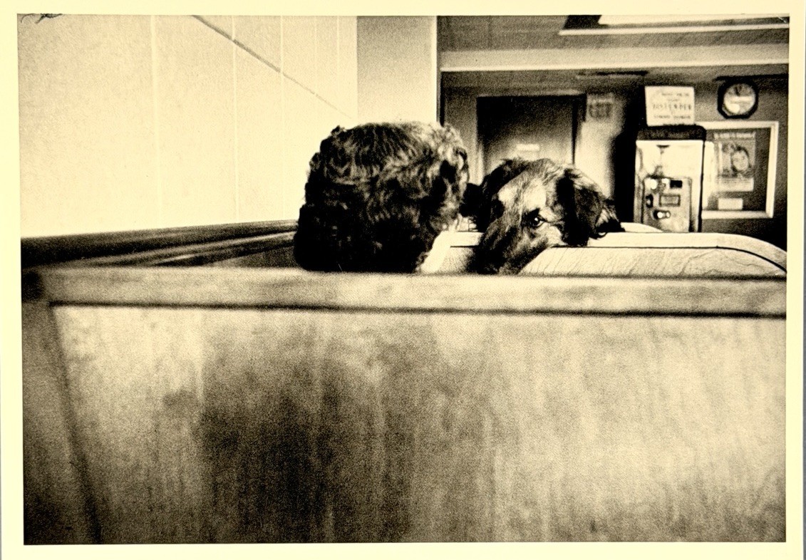 Elliott Erwitt Art Photo Print Card By Fotofolio – New York City, 1953