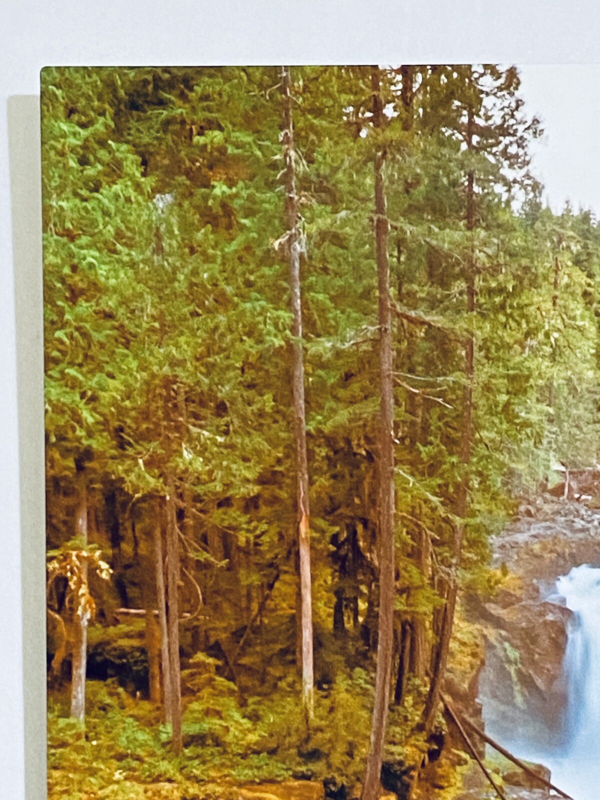 PNW Landscape Waterfall Art Forest River Photographic Metal Print 11×14 Signed